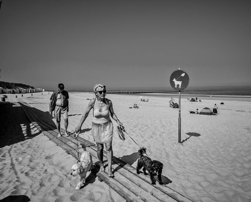 yeos_Fujifilm_X-Pro2_180725112300001.jpg