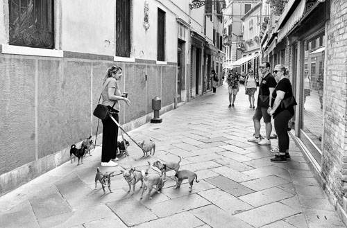 yeos_Leica_LEICA-Q2_230609085700001.jpg