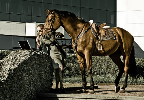 100704_18h46_IMG_4700-100.jpg 100704_18h46_IMG_4700-100.jpg