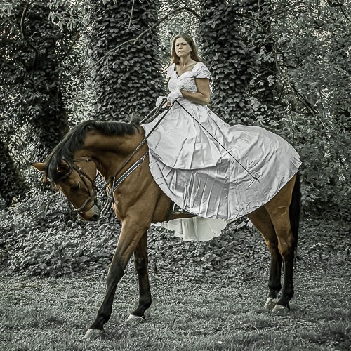 IMG_2358-100.jpg IMG_2358-100.jpg