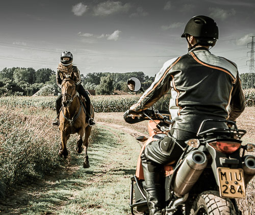 IMG_5036-100.jpg IMG_5036-100.jpg