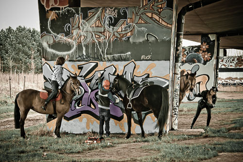 IMG_7022-Modifier-100.jpg IMG_7022-Modifier-100.jpg