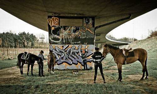 IMG_7100-Modifier-4-100.jpg IMG_7100-Modifier-4-100.jpg