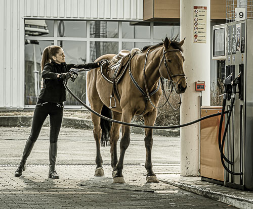 P4039757-100.jpg P4039757-100.jpg