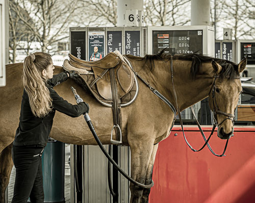 P4039796-100.jpg P4039796-100.jpg