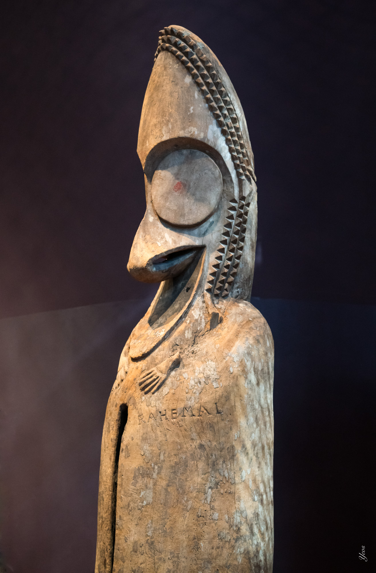 L1004424-100.jpg