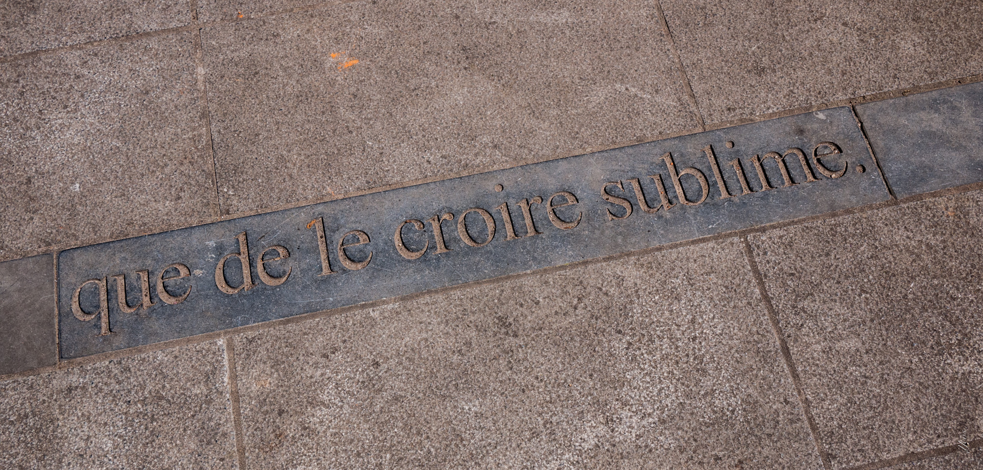 P1050110-100.jpg
