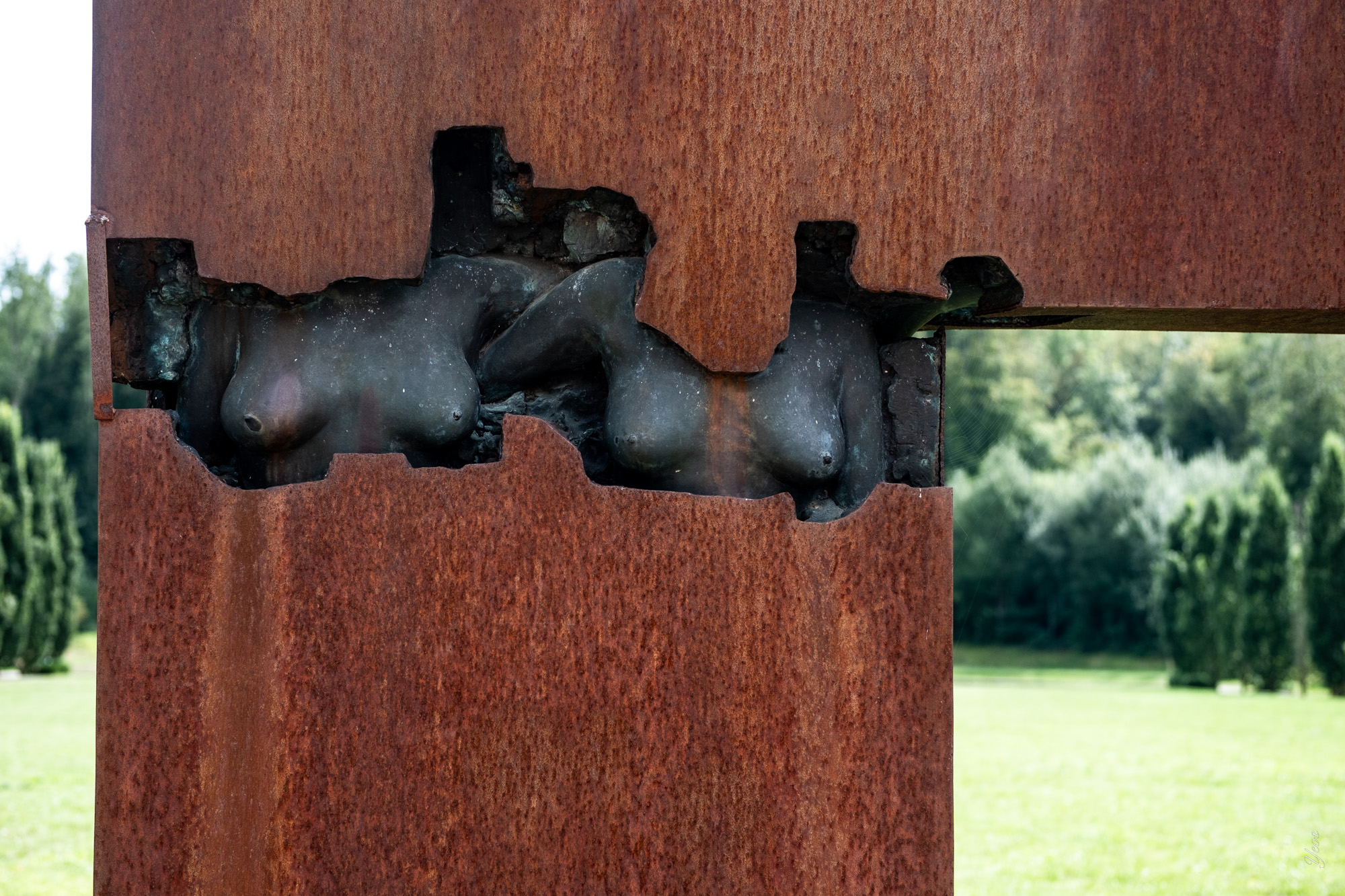 XPRO3174-100.jpg