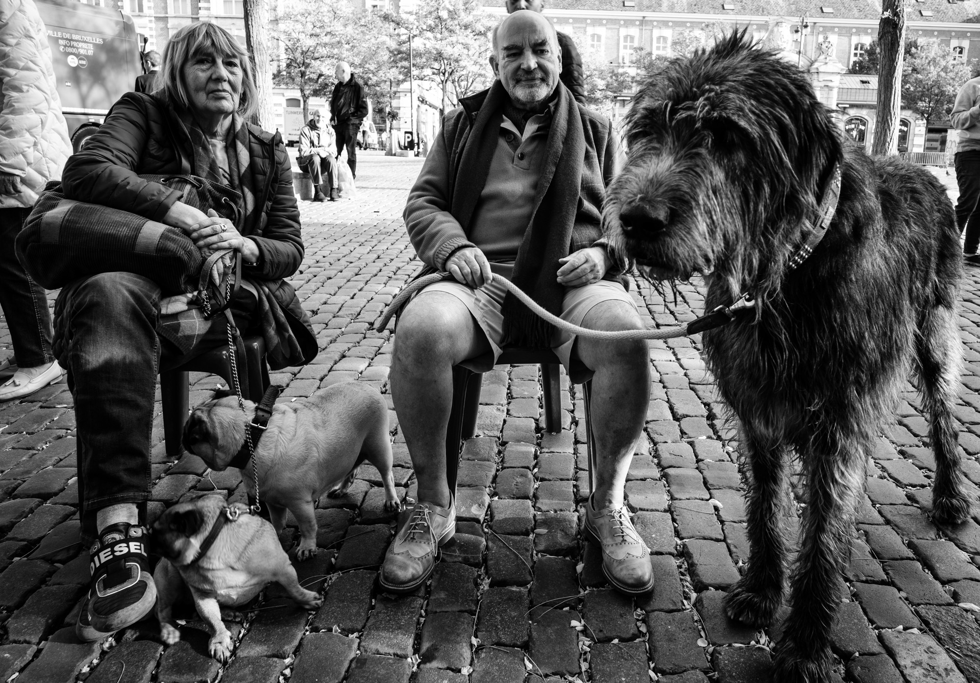 XPRO3306-100.jpg