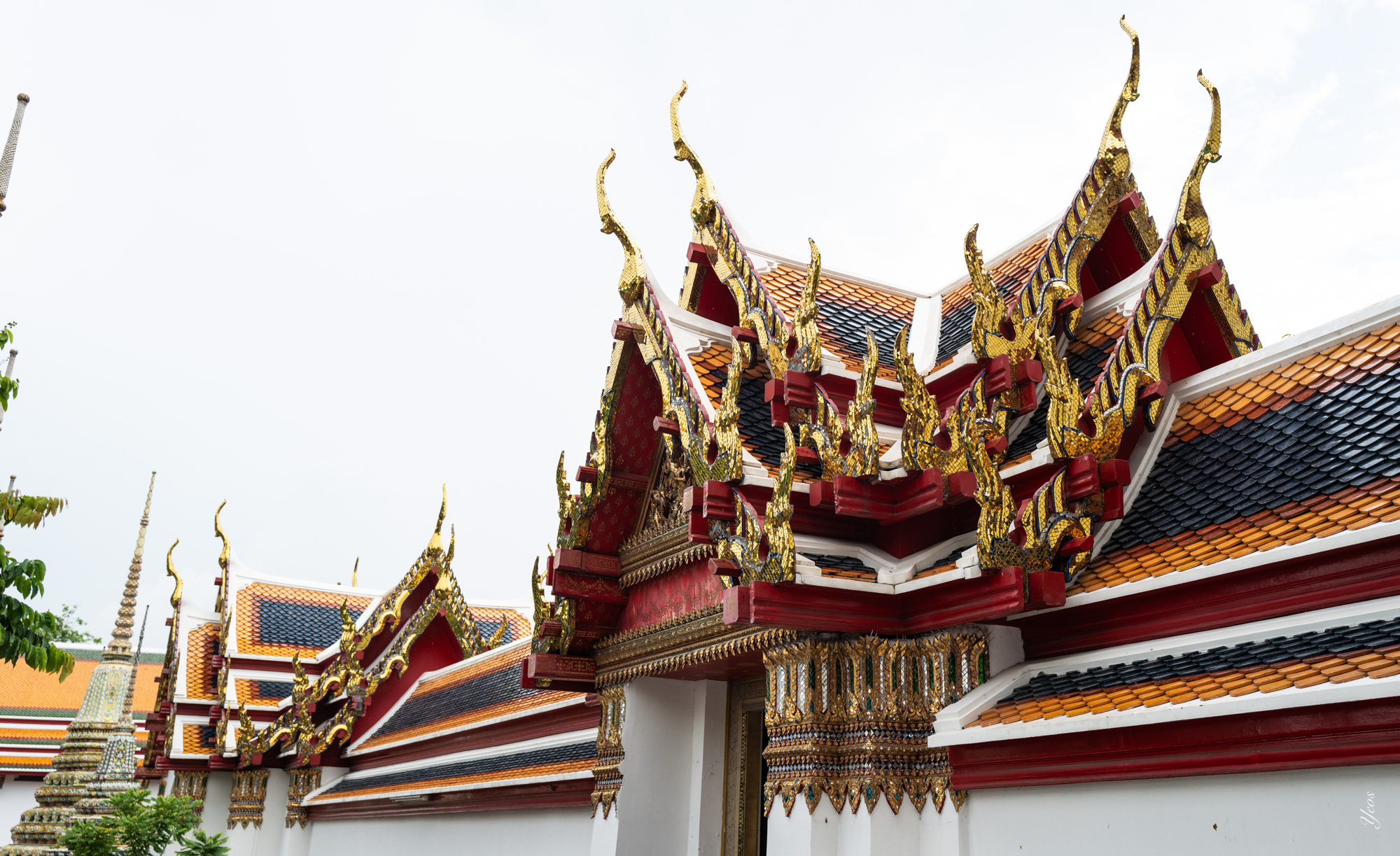 L1001016-100.jpg