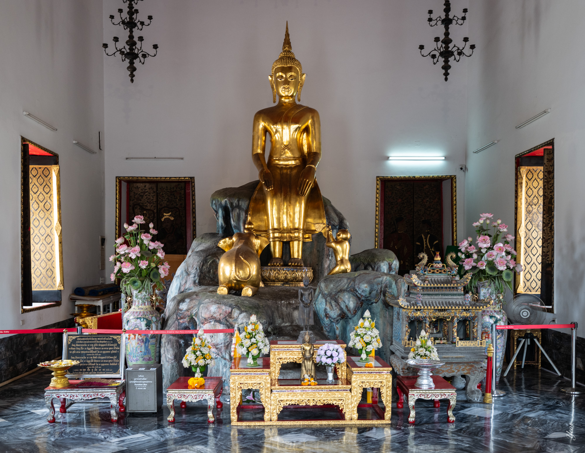 L1001020-100.jpg