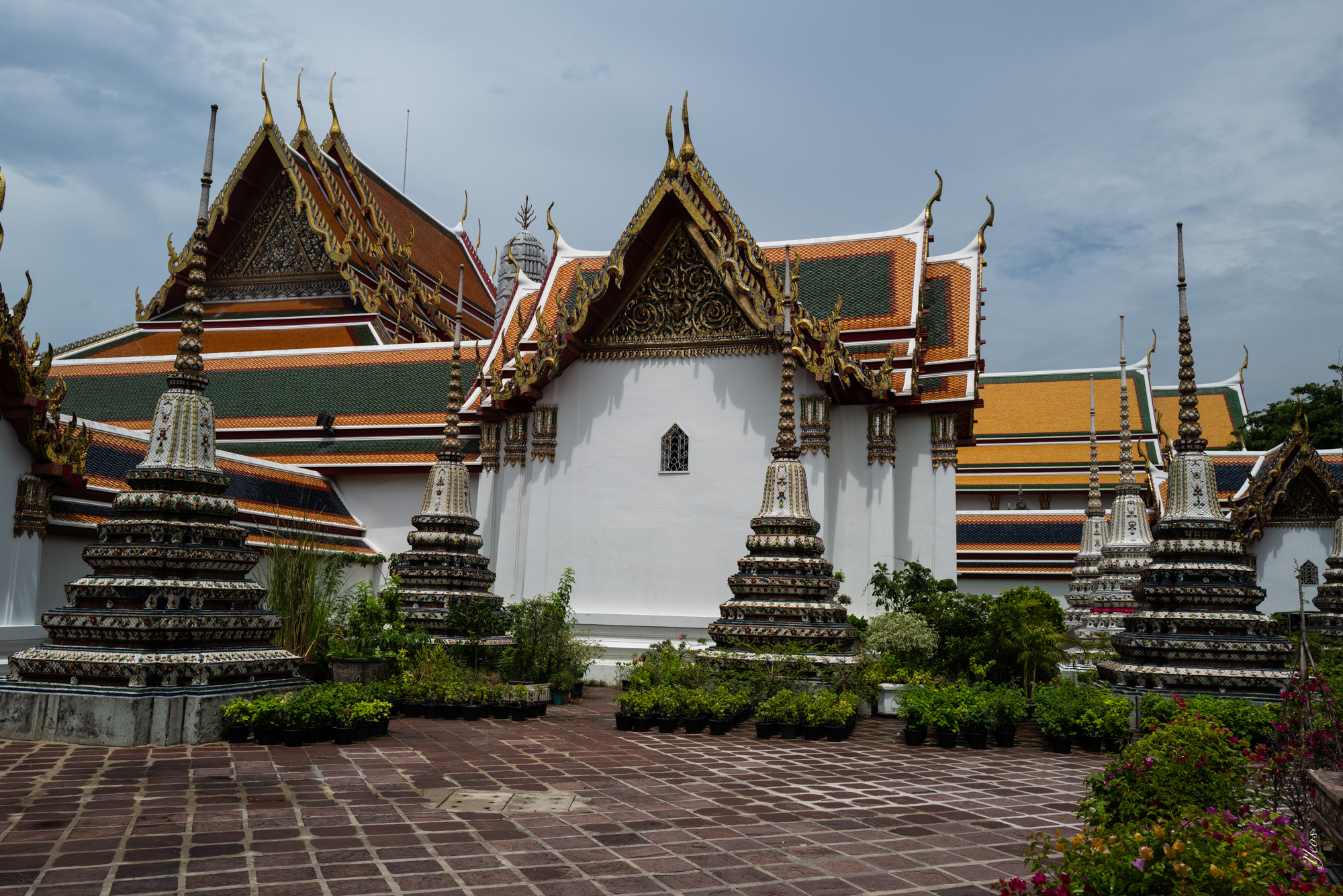 L1001028-100.jpg