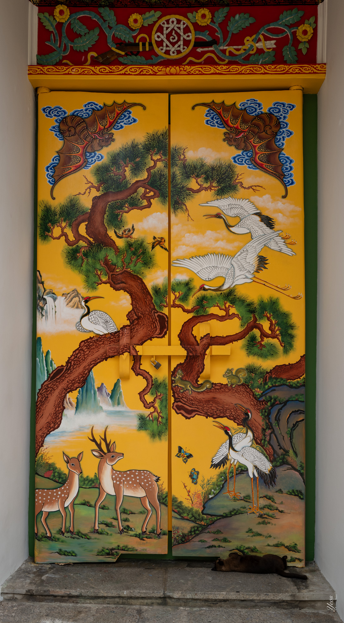 L1001030-100.jpg