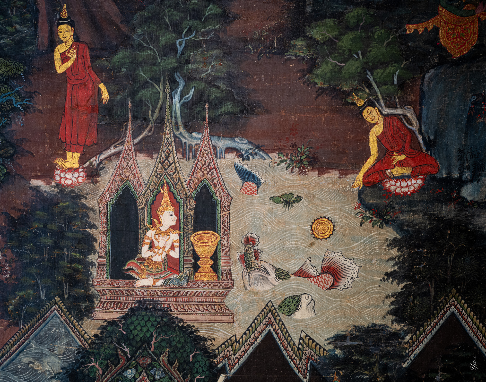 L1001046-100.jpg