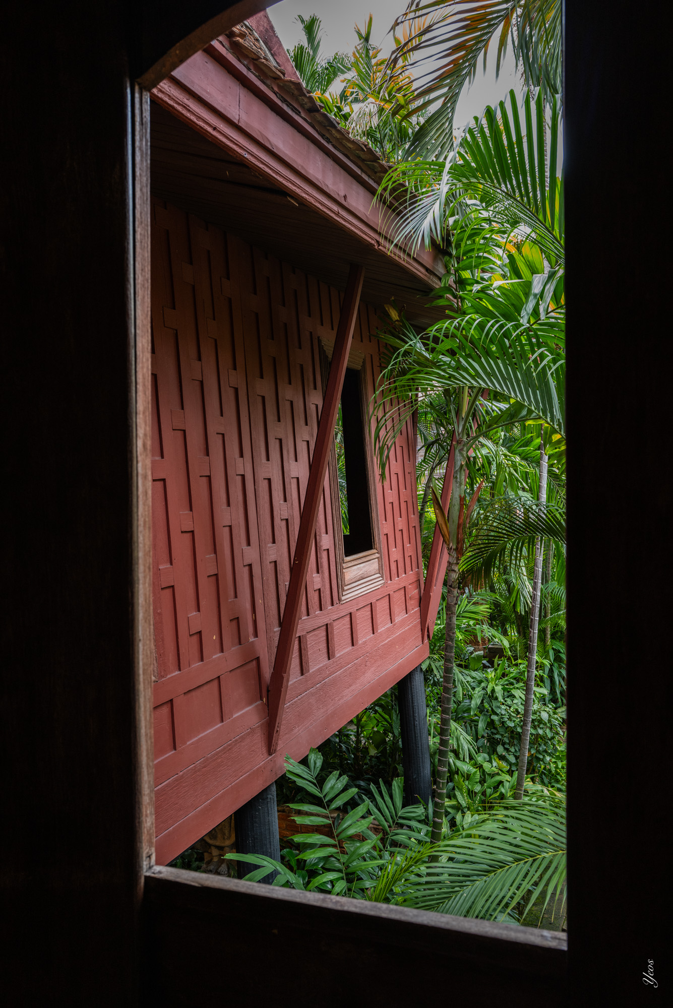 L1001052-100.jpg