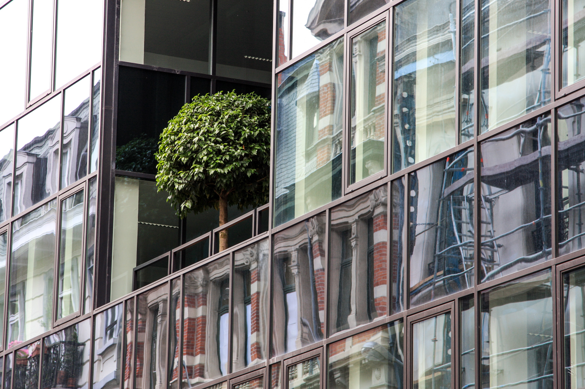 un_arbre_dans_la_ville-100.jpg