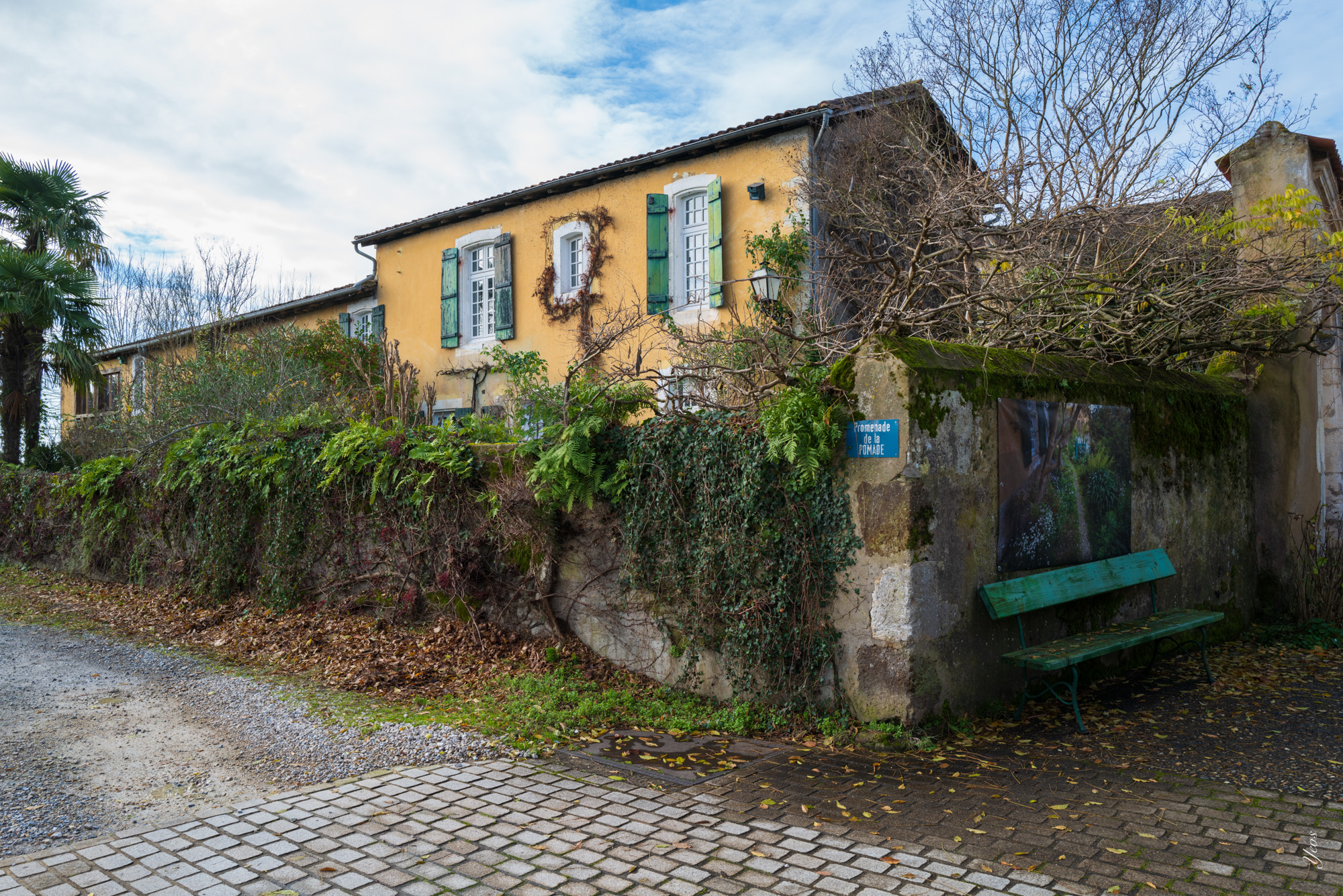 L1001359-Edit-100.jpg