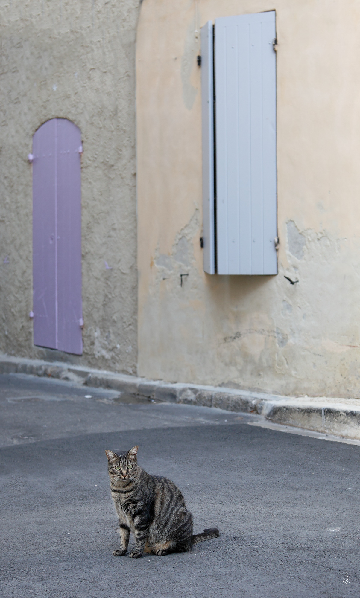 Saint_Remy_de_Provence-100.jpg