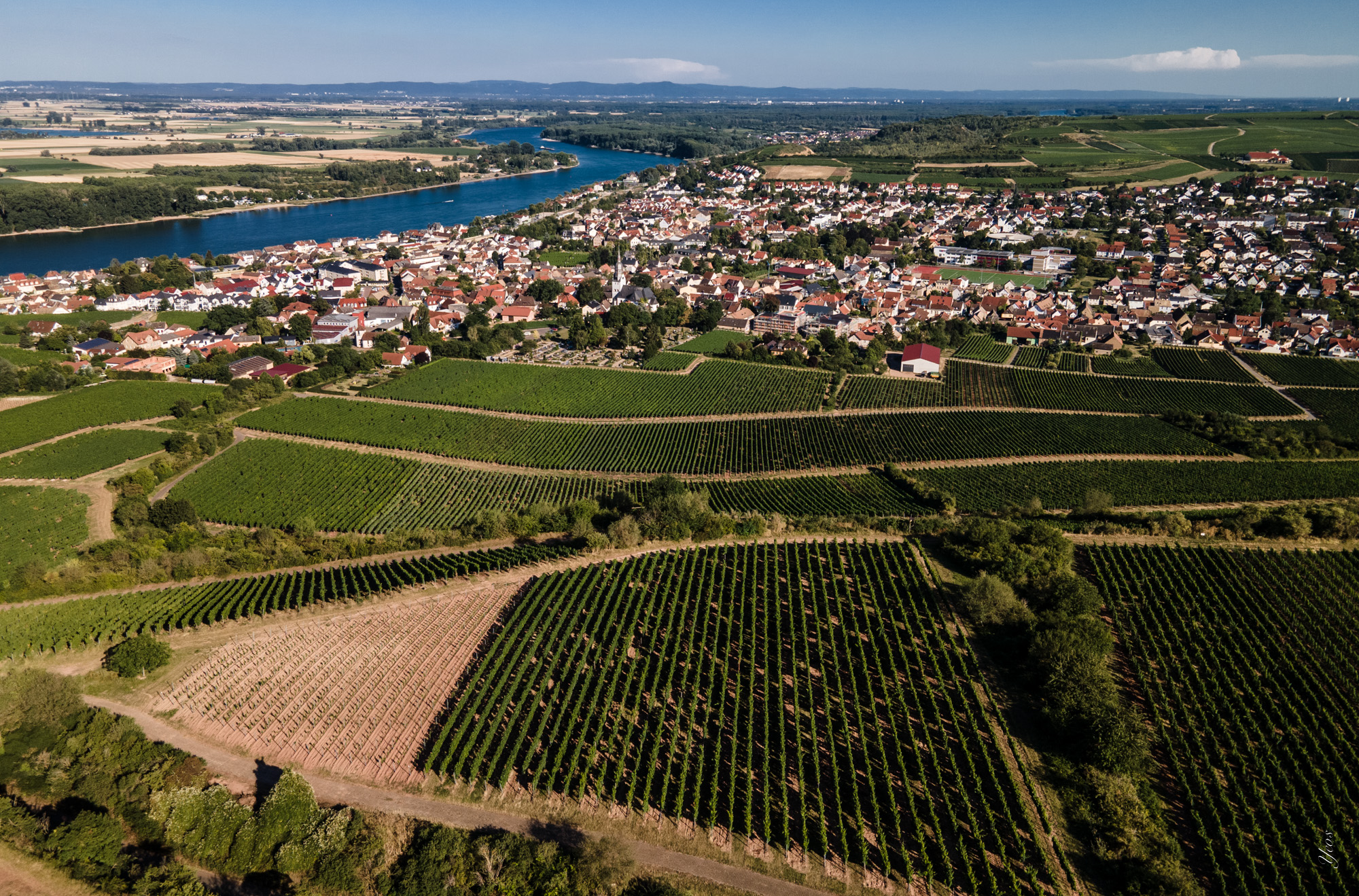 DJI_0027-100.jpg