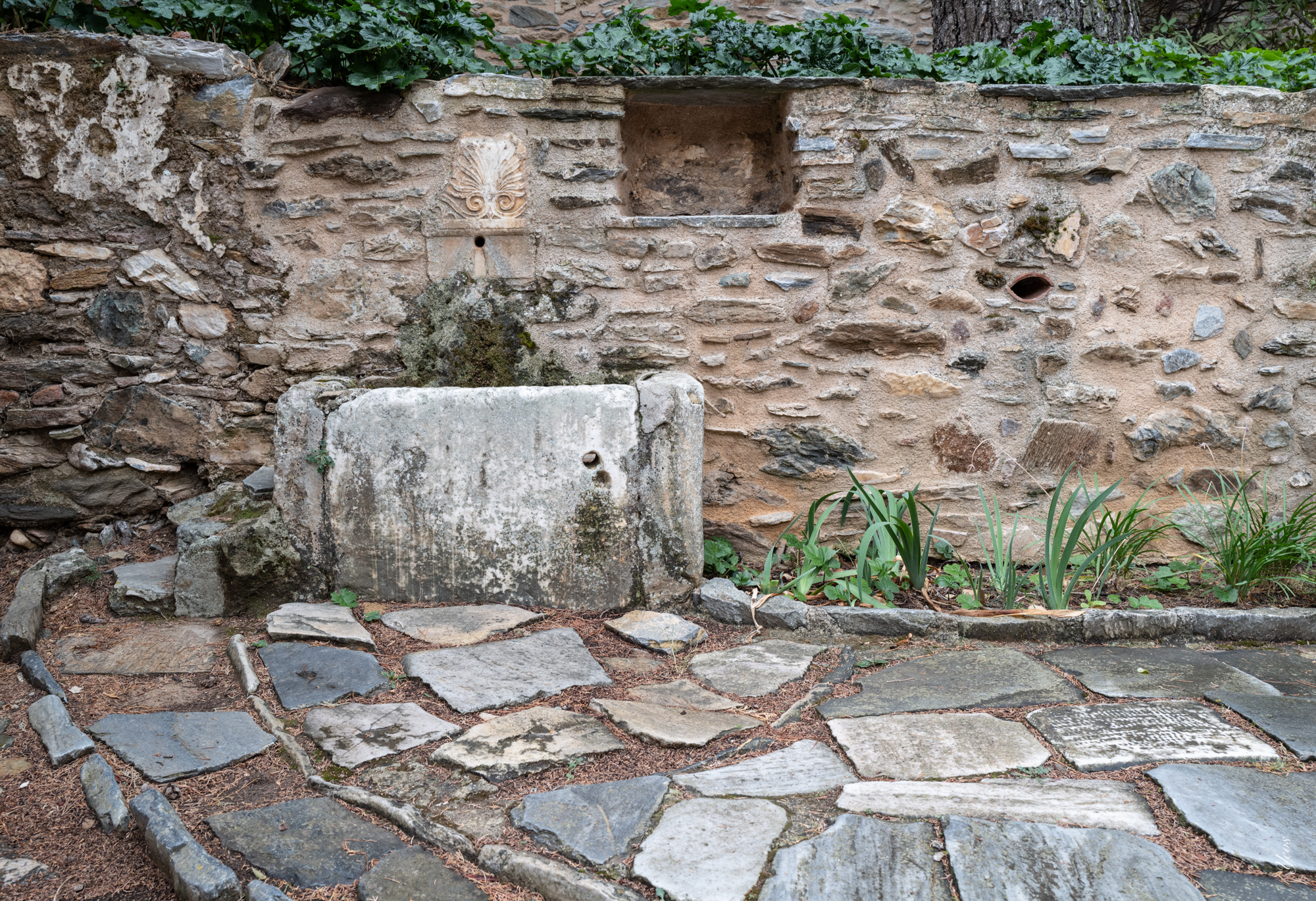 L1001267-100.jpg