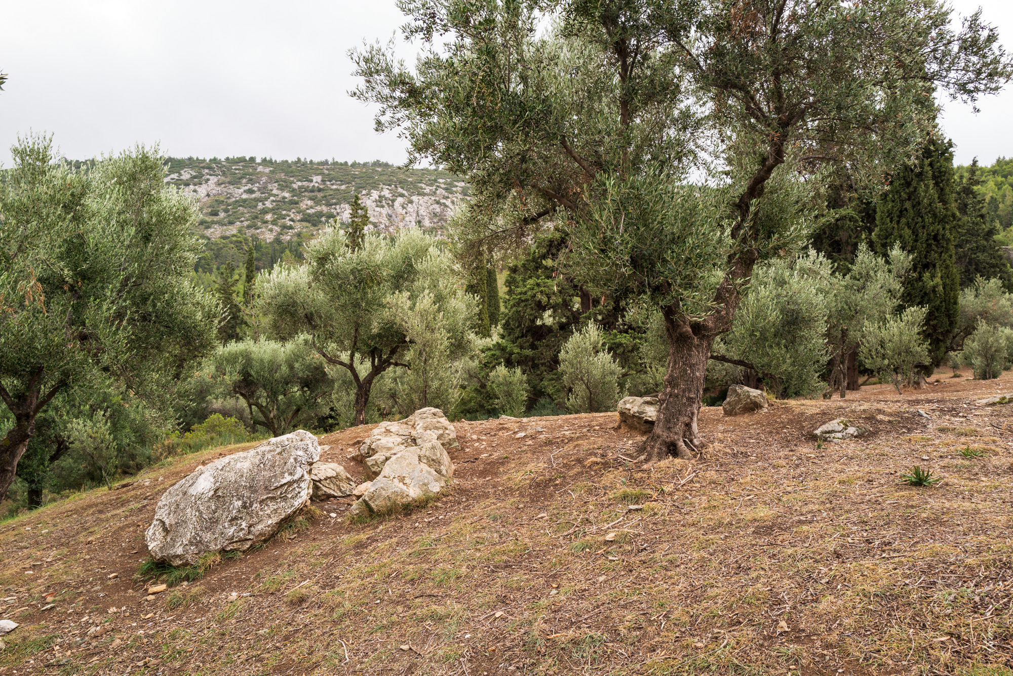 L1001272-100.jpg