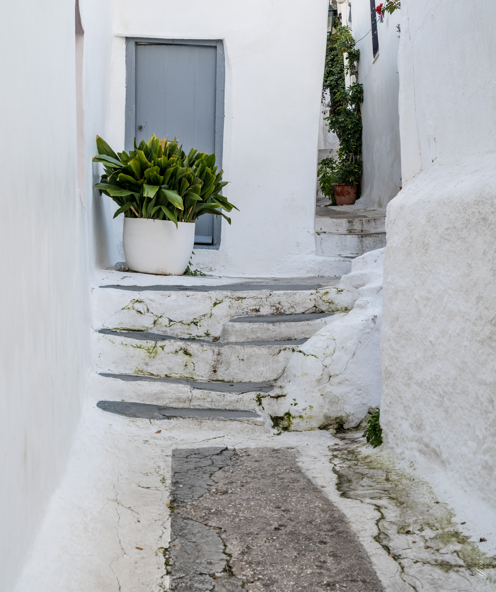 L1001920-100.jpg