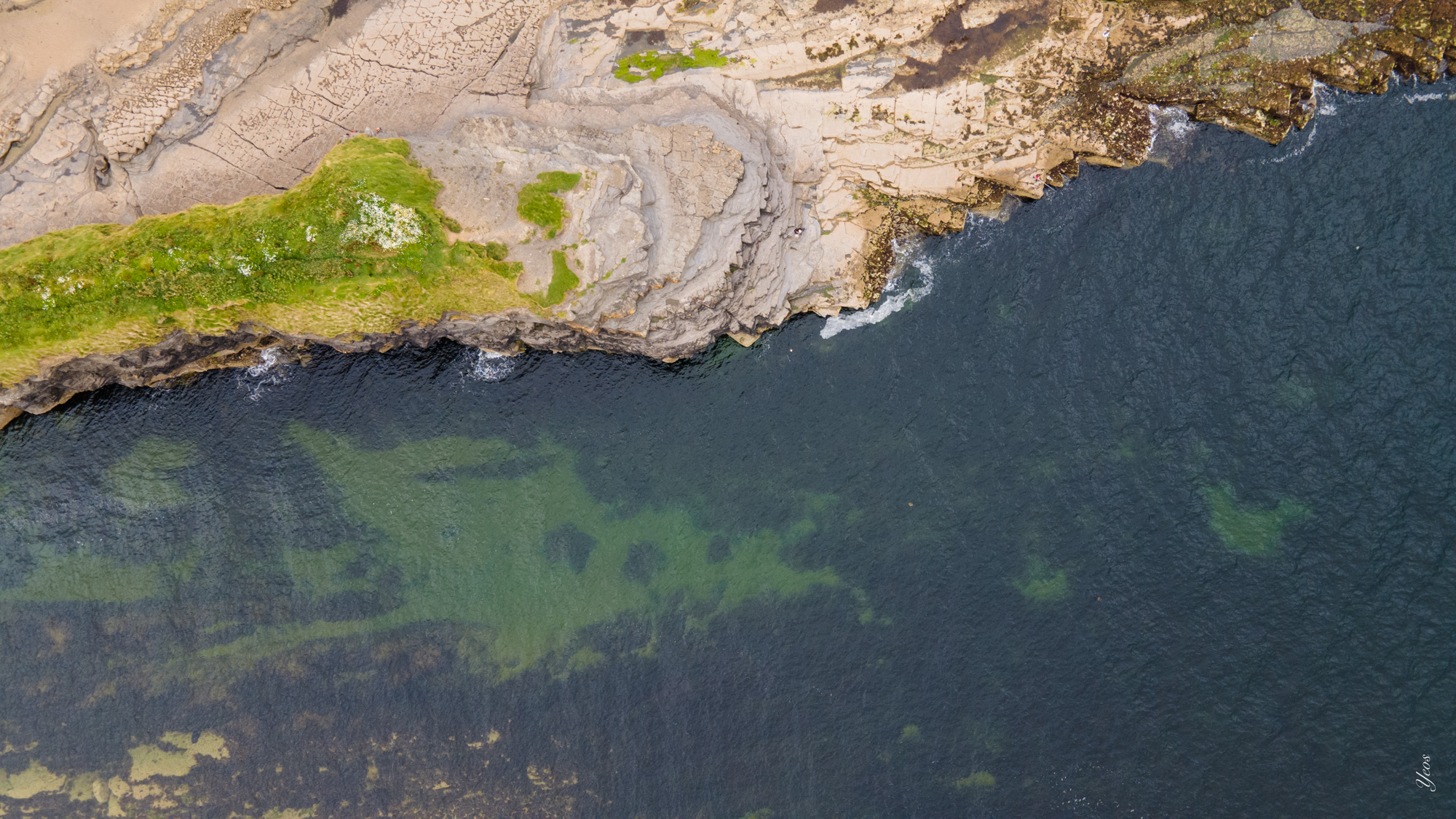 DJI_0086-100.jpg