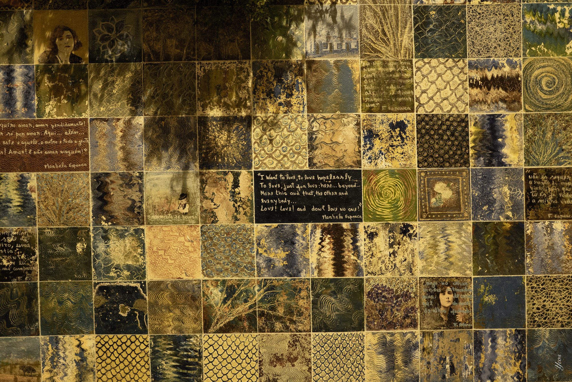 L1001639-100.jpg