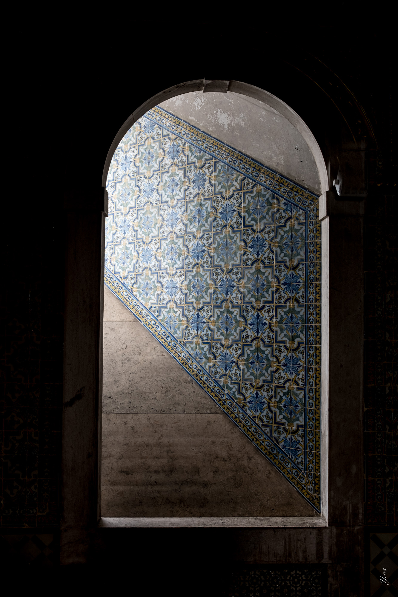 XSCF6411-100.jpg
