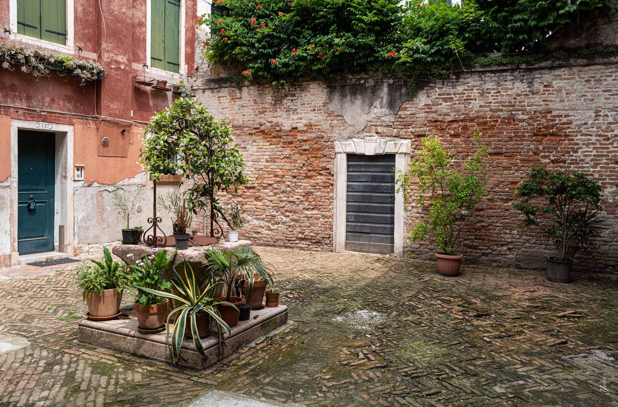 L1000604-100.jpg