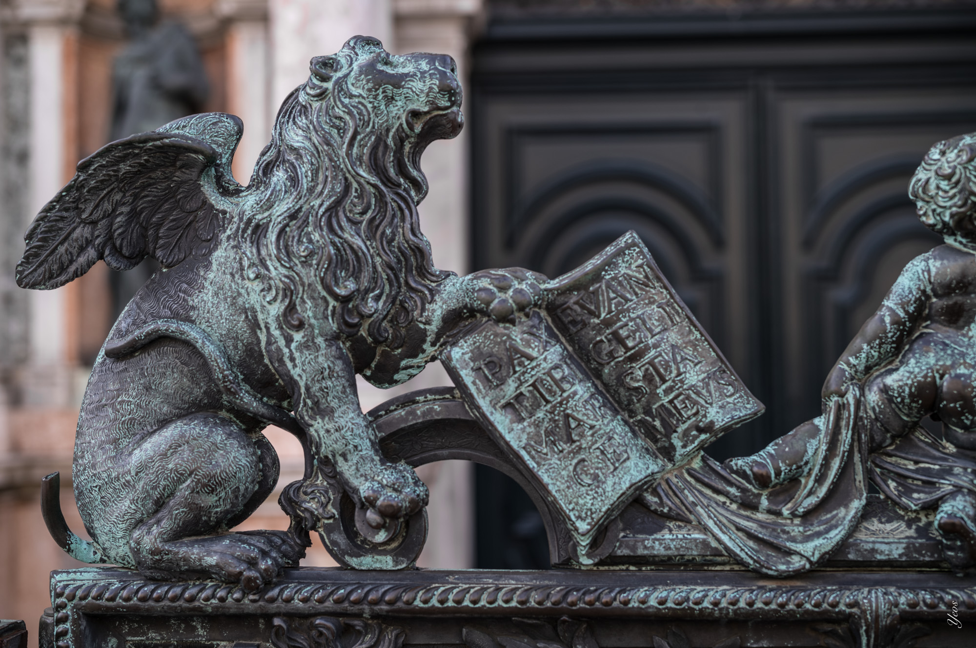 L1001386-100.jpg